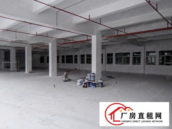  同沙高新科技园5000平方招租，形象好，面积按需！