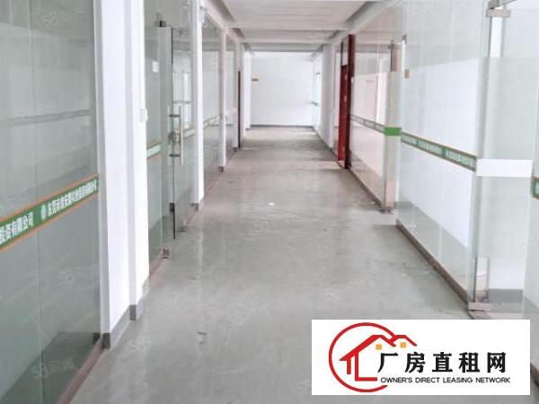  同沙高新科技园5000平方招租，形象好，面积按需！