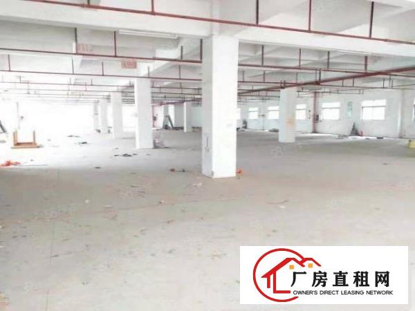  东城下桥标准独院厂房分租600平方现成装修