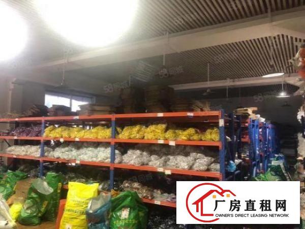  主山新出一楼厂房500平方，带现成装修办公室，水电线路齐全