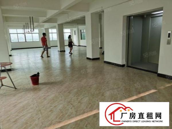  东城新出原房东二至五楼每层255平，采光好，租金便宜，好招工