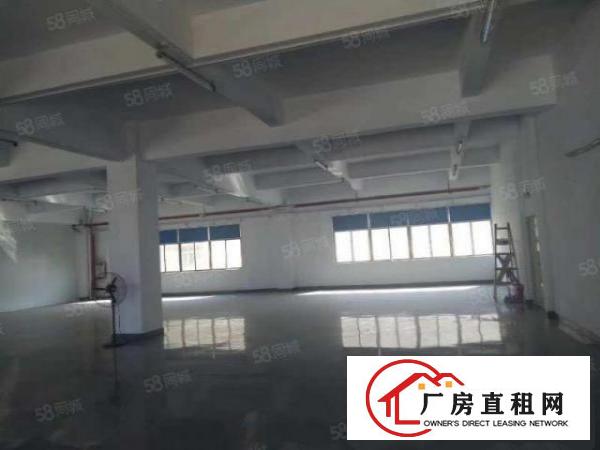  东城周屋新出原房东厂房出租独院空地大整租仅需16元
