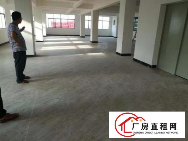  东城温塘茶下工业区原房东255平