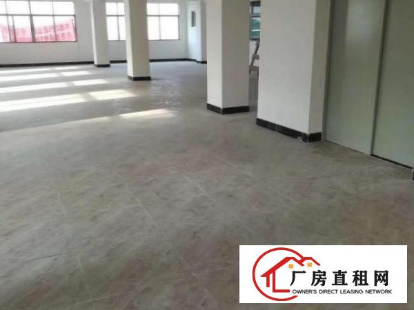  东城温塘茶下工业区原房东255平