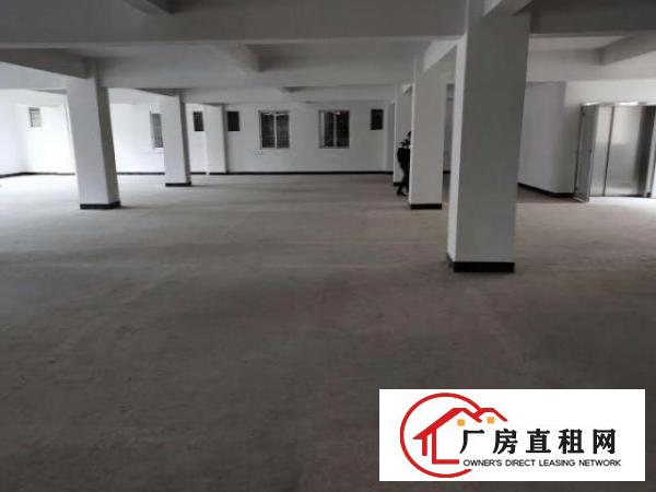  东城原房东独栋厂房仓库