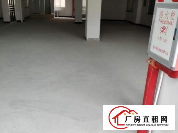  东城原房东独栋厂房仓库