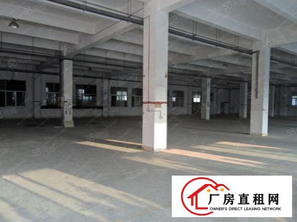  10元，10元，10元，惊爆价，只限今日，面积按需！