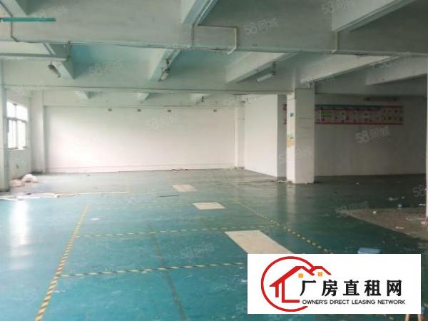  东城温塘大塘边路新出原房东厂房出租豪华装修空地超大可办环坪
