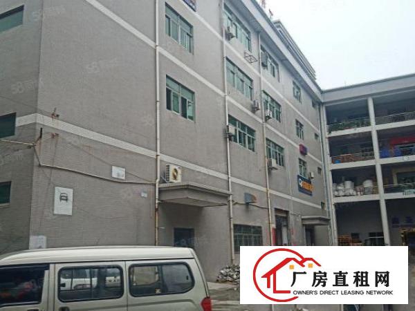  东城温塘大塘边路新出原房东厂房出租豪华装修空地超大可办环坪