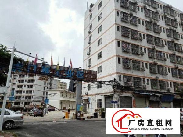  虎门工业厂房1000平方米低价出租