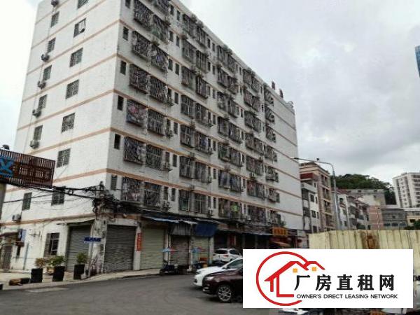  虎门工业厂房1000平方米低价出租