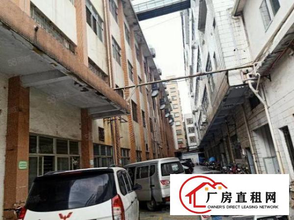  虎门工业厂房1000平方米低价出租