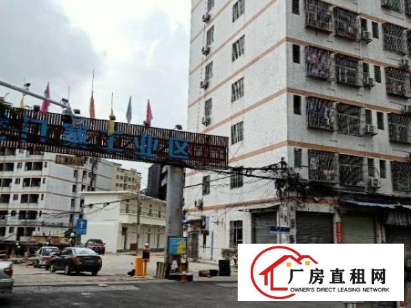  虎门工业厂房1000平方米低价出租