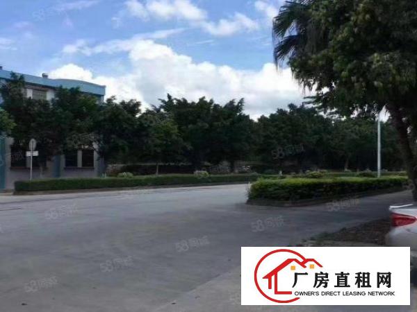  东城桑园工业园单一层厂房出租，设施齐全现成装修空地超大可办环