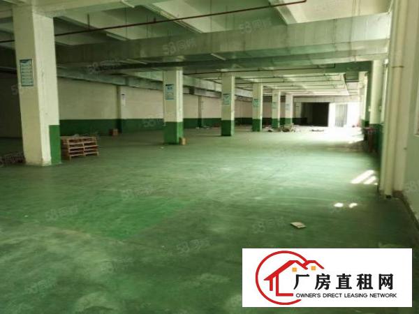  温塘工业区新出原房东独院厂房分租2楼900平带装修办公室