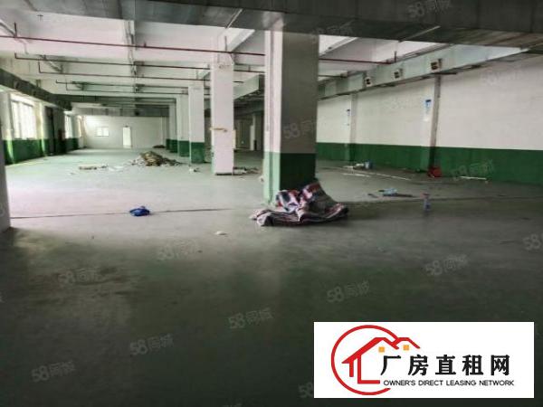  温塘工业区新出原房东独院厂房分租2楼900平带装修办公室