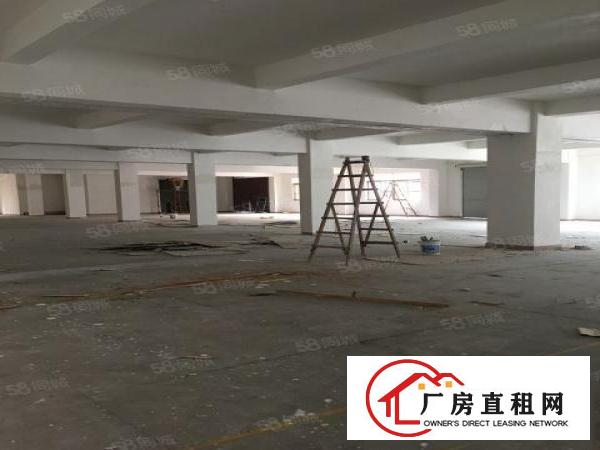  东城主山一楼仓库出租1700平方可以分租桑园单一层400方