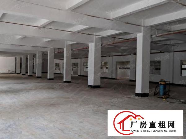  东城大型产业园5万平方火爆招商,可分租，形象好空地大。