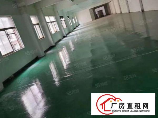  温塘温周路附近标准工业园区尾盘分租二楼600方有地坪漆己隔好