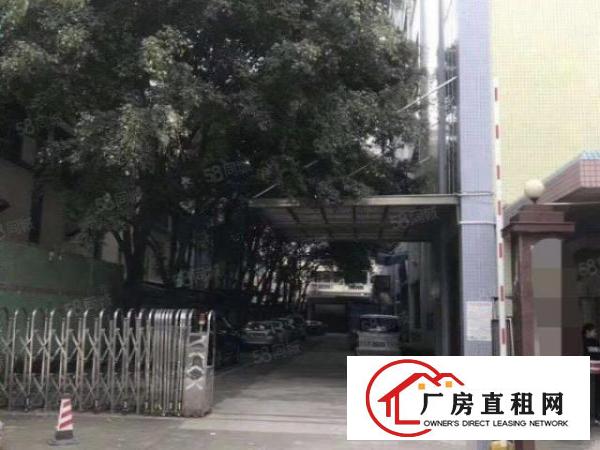  东城主山新出二楼485平方，水电线路齐全，价格便宜可办环评