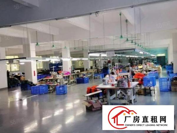  温塘加油站附近成熟工业园老村长厂房出租三楼1300方有地坪漆