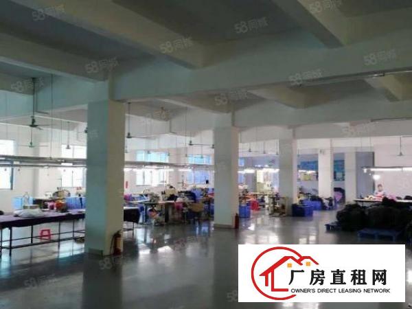  温塘加油站附近成熟工业园老村长厂房出租三楼1300方有地坪漆
