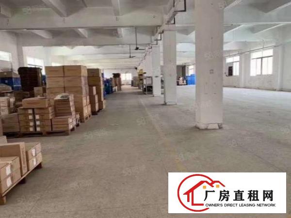  东城柏洲边标准独院厂房500平方出租.