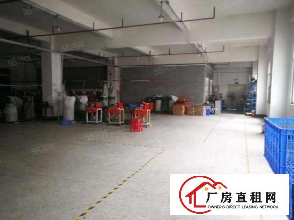  东城柏洲边标准独院厂房500平方出租.