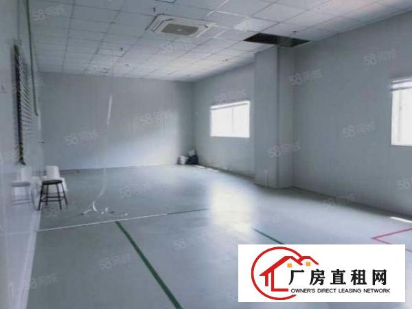  东城周屋新出厂房二楼出租豪华精修附带办公室仅15元