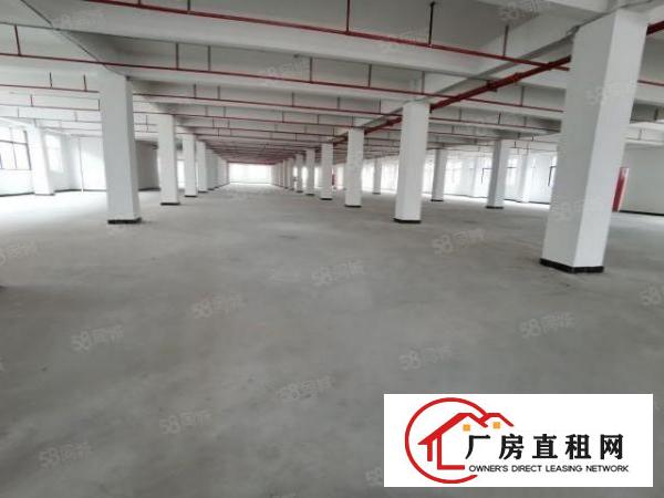  东城楼上1000平，2000平3000平厂房出租，地段好