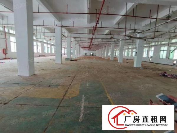  东城新出独门独院厂房出租10140平，可分租，厂房真实图片