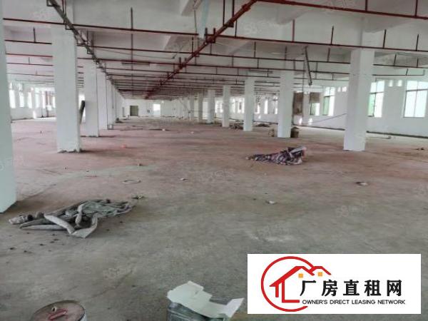  东城新出独门独院厂房出租10140平，可分租，厂房真实图片