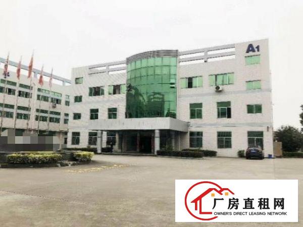  一楼厂房整层950方，带装修，高大上