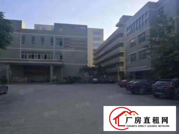  桑园新出独院厂房一楼2100平低价16元全包
