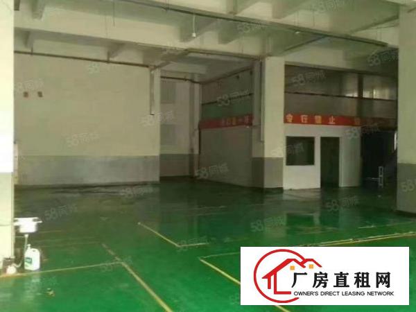  桑园新出独院厂房一楼2100平低价16元全包