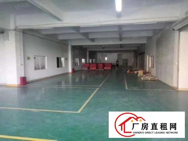  桑园新出独院厂房一楼2100平低价16元全包