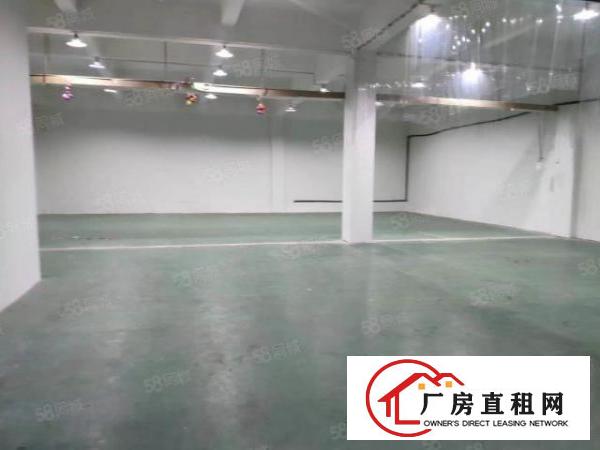  可分租！东城原房东独门独院20000平工业聚集区可办环评