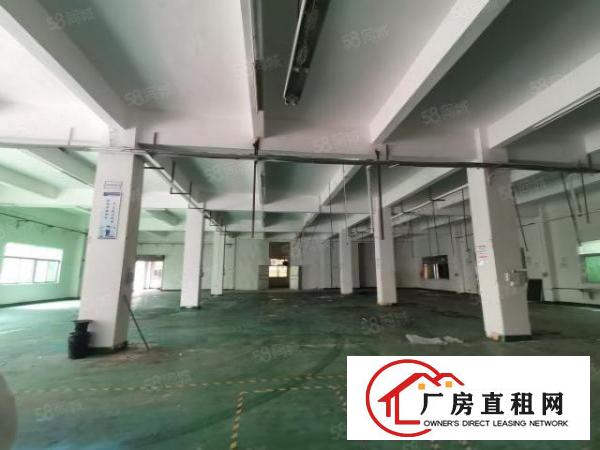  可分租！东城原房东独门独院20000平工业聚集区可办环评