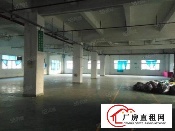  东城主山一楼250平，450平，650平，900平多个厂房仓