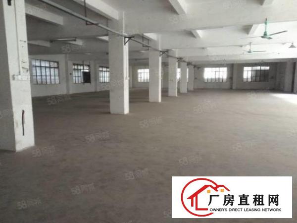  东城周屋厂房一楼，楼上各750平，1200平方，价钱便宜