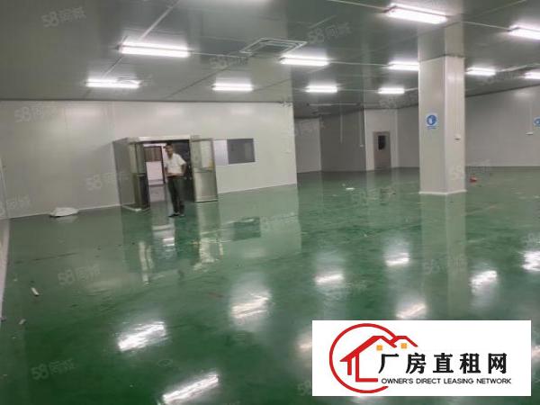  温塘新出原房东一楼实际面积880平带600平无尘车间