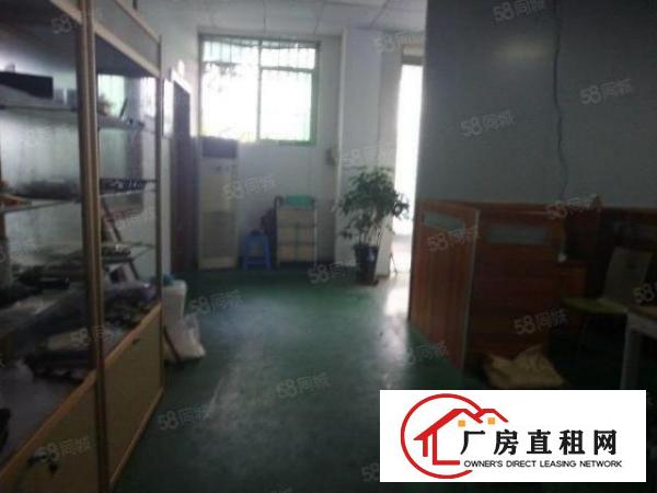 独立办公楼，贸易厂房出租