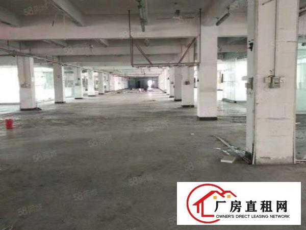  桑园原房东独院厂房2楼1800平带精装修全包14元