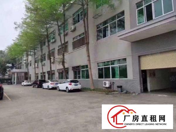  桑园原房东独院厂房2楼1800平带精装修全包14元