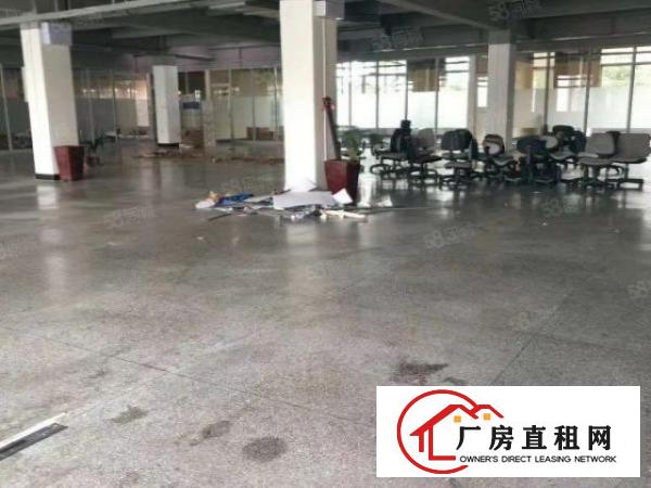  桑园原房东独院厂房2楼1800平带精装修全包14元
