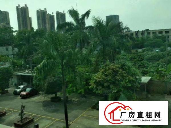  桑园原房东独院厂房2楼1800平带精装修全包14元