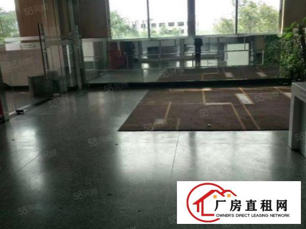  桑园原房东独院厂房2楼1800平带精装修全包14元
