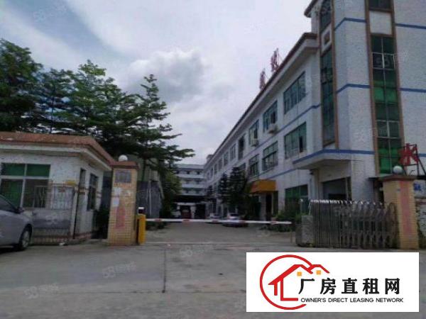  东城周屋工业区实际面积800平任意分租，租金12元
