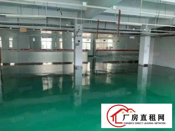  东城周屋工业区实际面积800平任意分租，租金12元