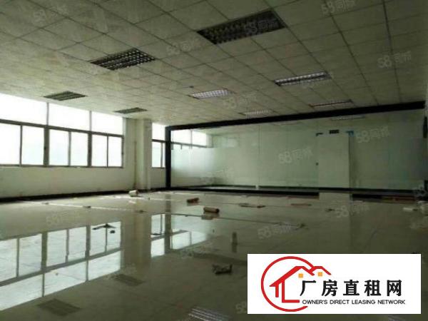  东城周屋工业区实际面积800平任意分租，租金12元